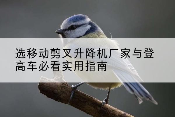 全南电动升降机厂家-选移动剪叉升降机厂家与登高车必看实用指南