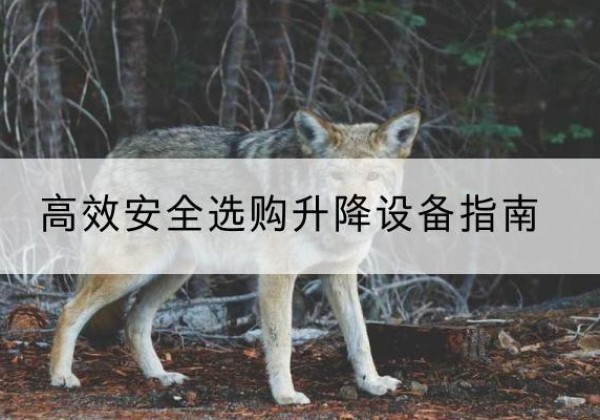 全南升降货梯厂家推荐-*安全选购升降设备指南