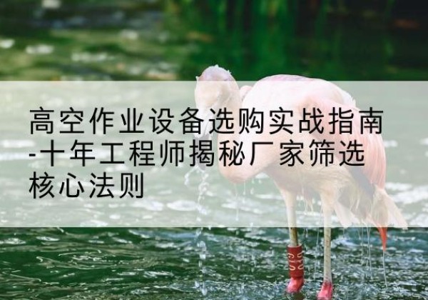 全南剪叉式升降机厂家-高空作业设备选购实战指南-十年工程师揭秘厂家筛选核心法则